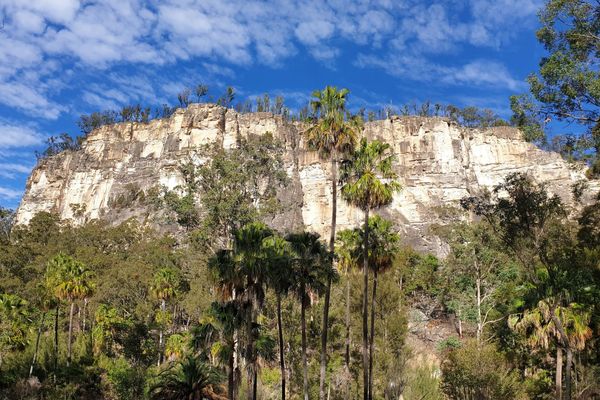 Carnarvon Gorge